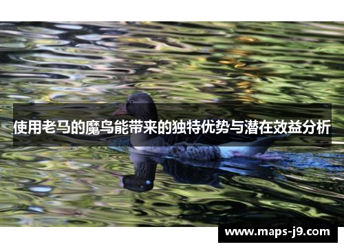使用老马的魔鸟能带来的独特优势与潜在效益分析
