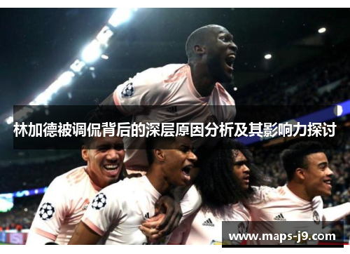 林加德被调侃背后的深层原因分析及其影响力探讨