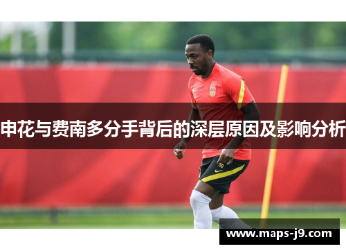 申花与费南多分手背后的深层原因及影响分析