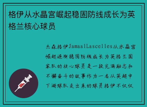 格伊从水晶宫崛起稳固防线成长为英格兰核心球员