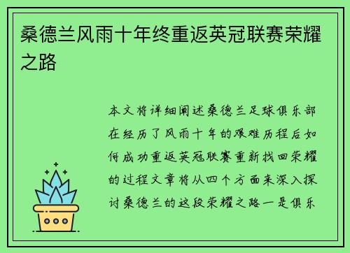 桑德兰风雨十年终重返英冠联赛荣耀之路